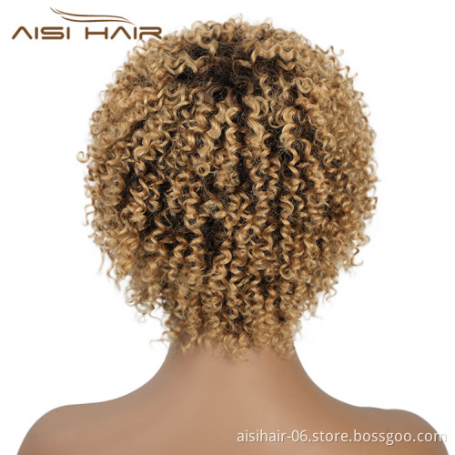 Aisi Hair Pixie Cut Short Afro Curly Kinky Wave #613 Blonde Unprocessed  Brazilian Short Brazilian Hair Brown Wig